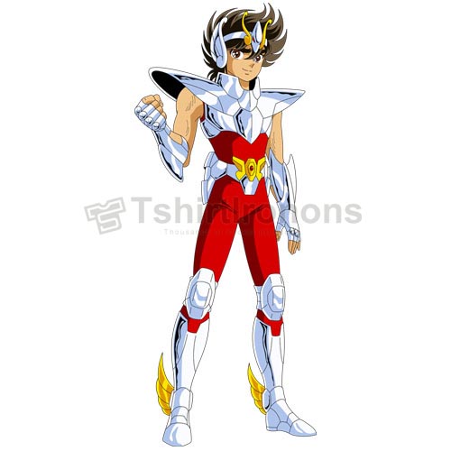 Saint Seiya T-shirts Iron On Transfers N4461